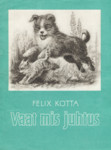 Vaat mis juhtus