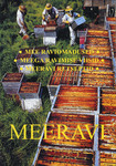 Meeravi. Mee raviomadused. Meega ravimise viisid. Mille vastu mesi aitab. Meeravi retseptid