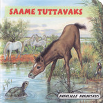 Saame tuttavaks. Varss