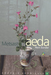 Metsast aeda