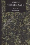 Ängi mõiste