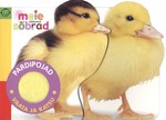 Pardipojad. Vaata ja katsu