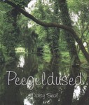 Peegeldused
