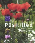 Püsililled
