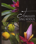 Toalilled sinu kodus