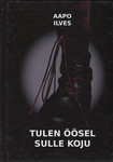 Tulen öösel sulle koju