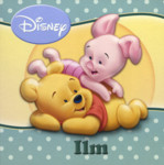 Ilm