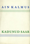 Kadunud saar