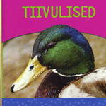Tiivulised