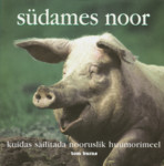 Südames noor