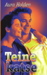 Teine katse
