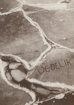 Vedelik. Ajakiri «Moe eri»