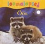 Loomalapsed. Öös