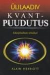 Ülilaadiv kvantpuudutus