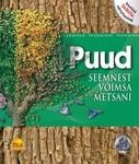 Puud. Seemnest võimsa metsani