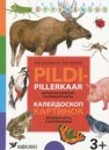 Pildipillerkaar. Koolibri õppemängud