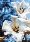 Liilia