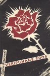 Veripunane roos