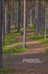 Piibel. Vana testament. Uus testament