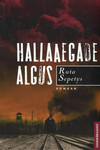 Hallaaegade algus