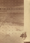 Baltic state of the environment report