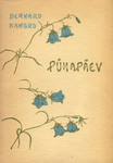 Pühapäev