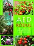 Aed rõdul