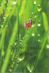 Soovin sulle õnne