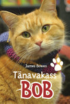 Tänavakass Bob