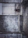 Eesti Pressifoto 2015. Estonian Press Photography 2015