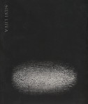 Silvi Liiva