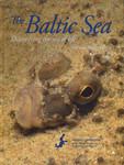 The Baltic Sea