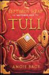 Tuli. Septimus Heapi seitsmes raamat