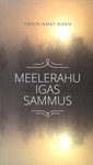 Meelerahu igas sammus