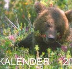 Loomakalender 2006