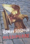 Kassipurre