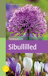 Sibulilled