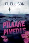 Pilkane pimedus