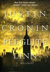 Peeglite linn