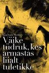 Väike tüdruk, kes armastas liialt tuletikke