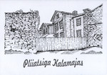 Pliiatsiga Kalamajas