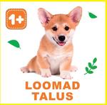 Loomad talus