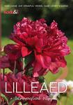 Lilleaed 
    (2. osa)
