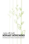 Sõnast sõnumiks