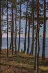 Piibel