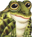 Konnake