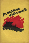 Praegune silmapilk