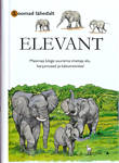 Elevant