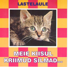 Meie kiisul kriimud silmad