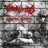Awaiting Rebirth [CD]